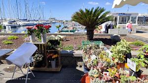 Cap d'Agde - Avant-Ports - 2 Juin 2024 - 05